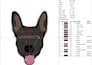 convert image and logo to embroidery digitizing files